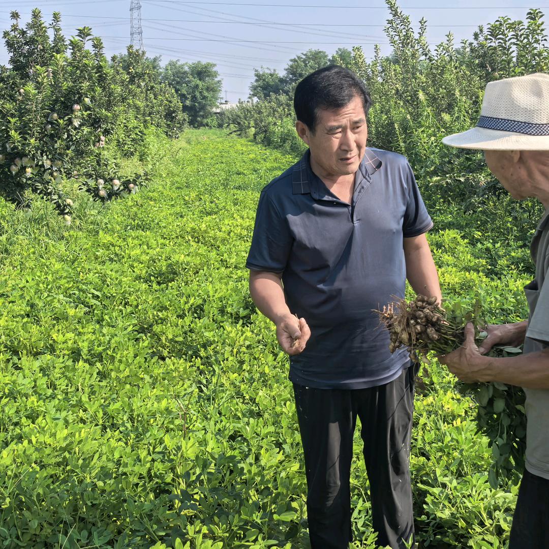 沐喜严选个体店