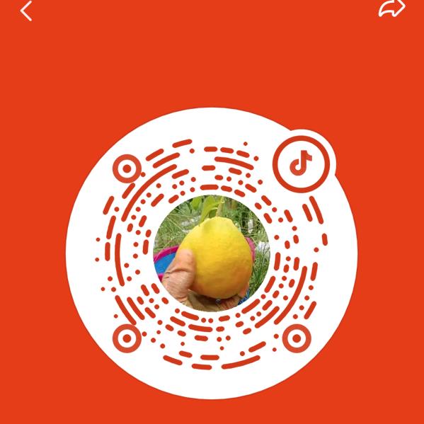 范：。丿艳兰V。V。/。。。/