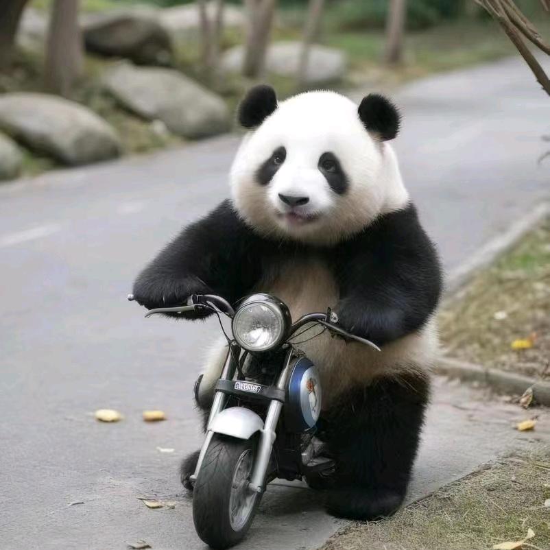 时光匆匆一瞬间