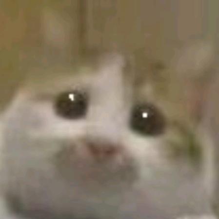 🌈上班真开心🍎