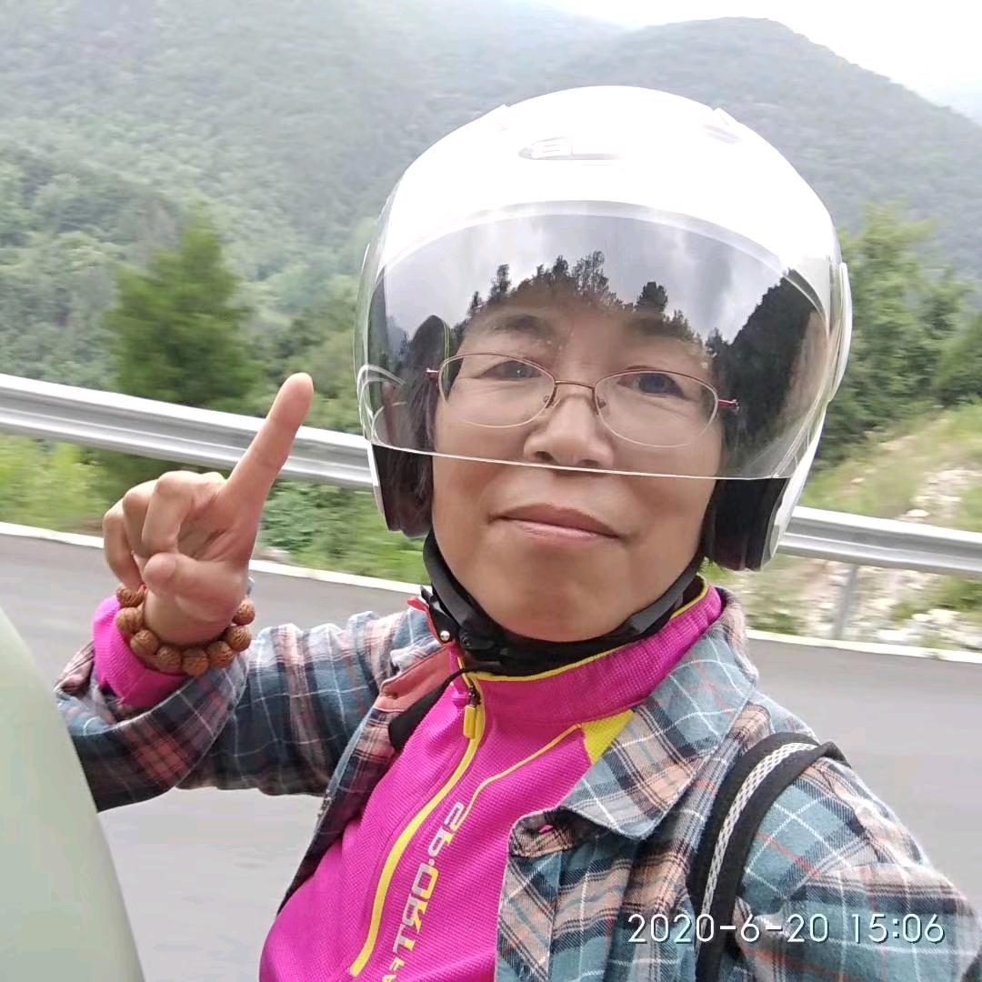 龙城燕子