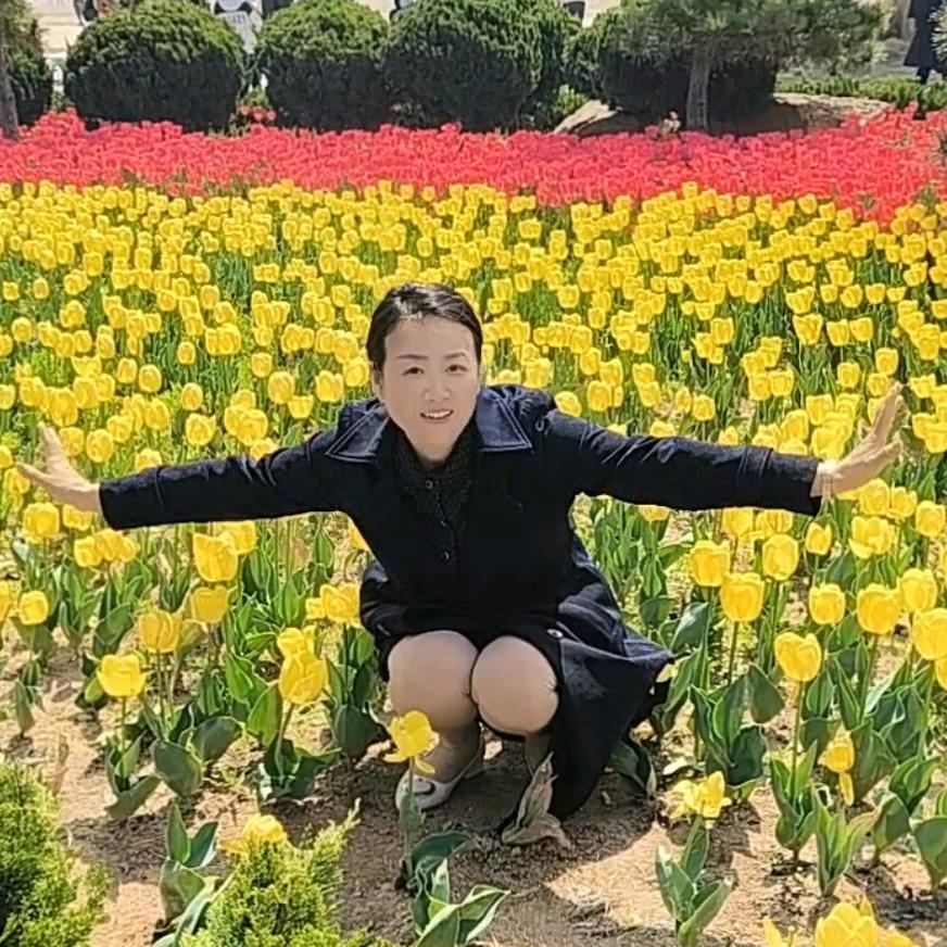 凤姐姐