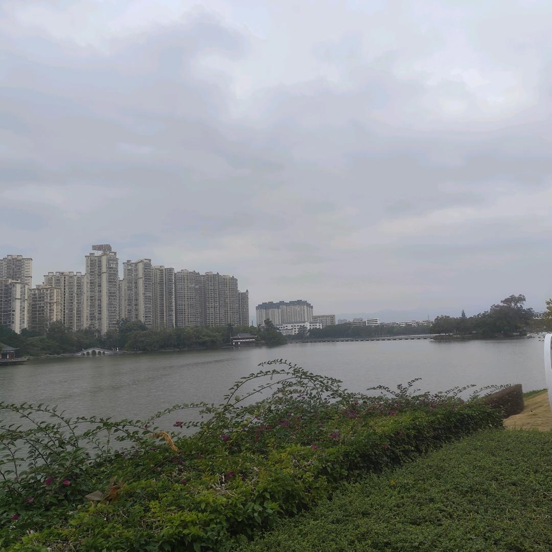 热爱生活的小芳