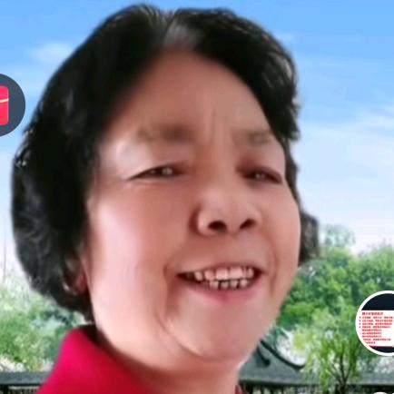 熊阿姨的生活记录