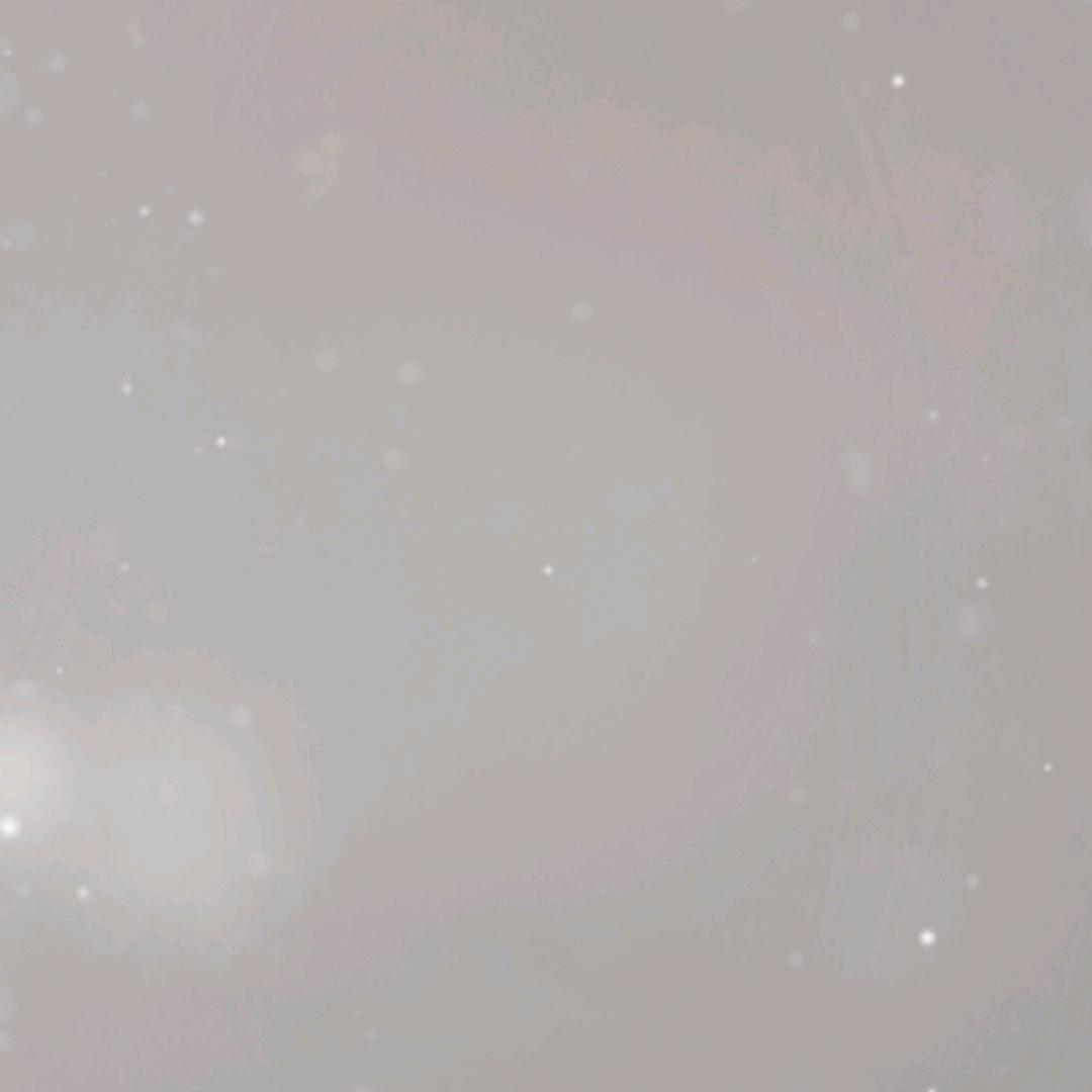 拽拽龙