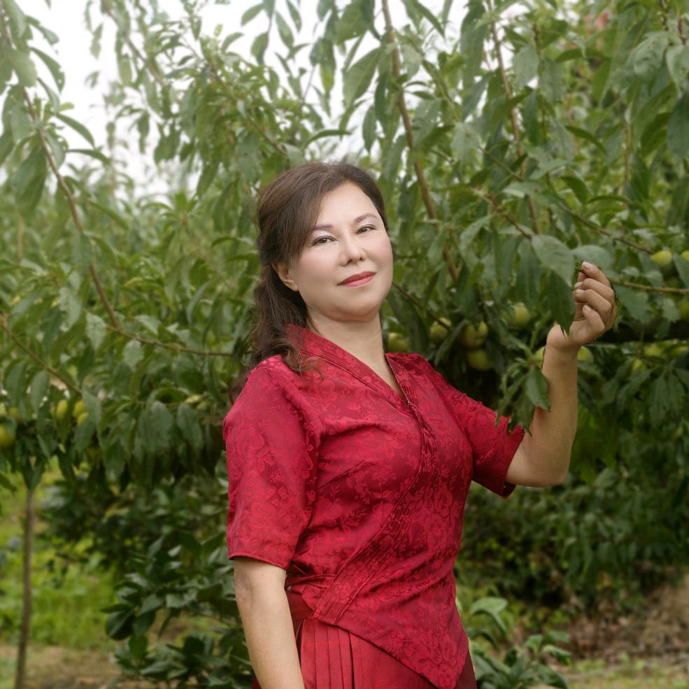 邱玲贵妃李苗木基地