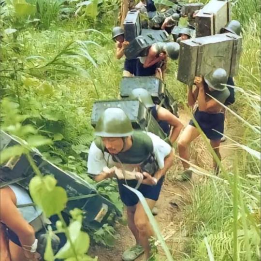 岁月静好