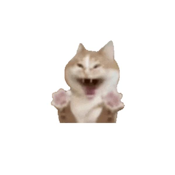 咕叽布鲁
