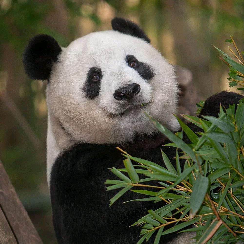 丄善若水