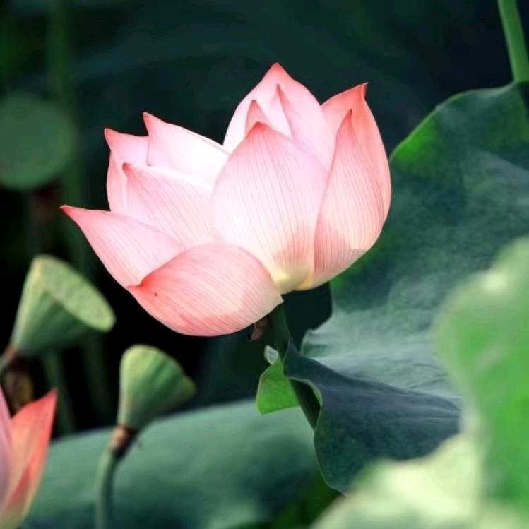 抽掉最后一支烟