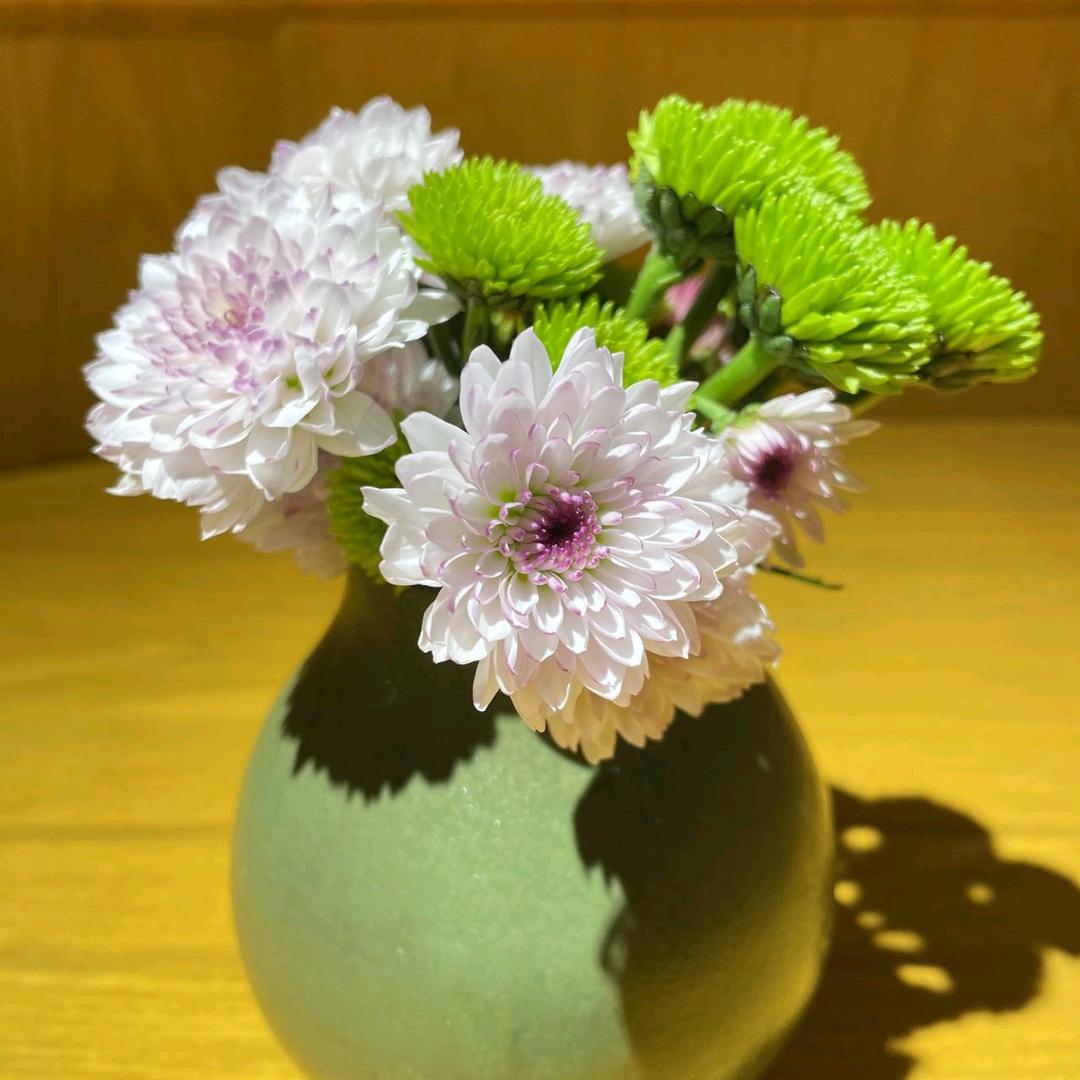 海棠依旧百货