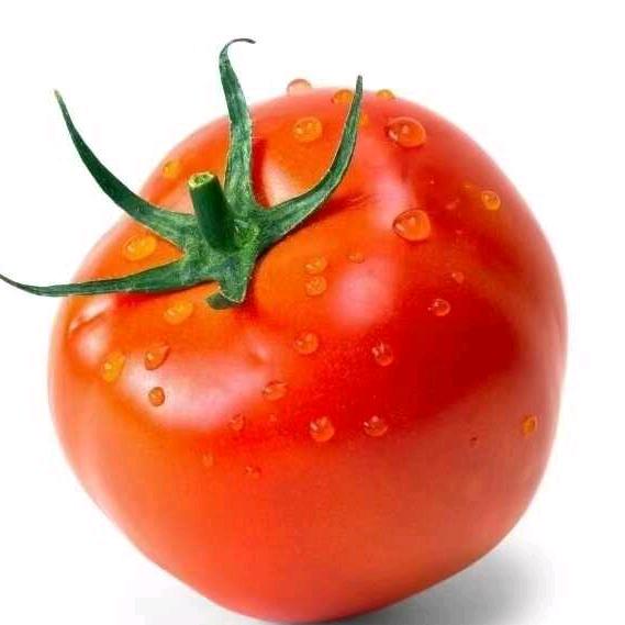 西红柿子🍅