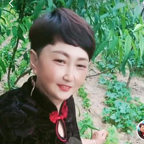 戏迷杨姐（晚上7：30开播)
