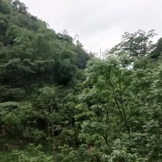 感恩遇见530
