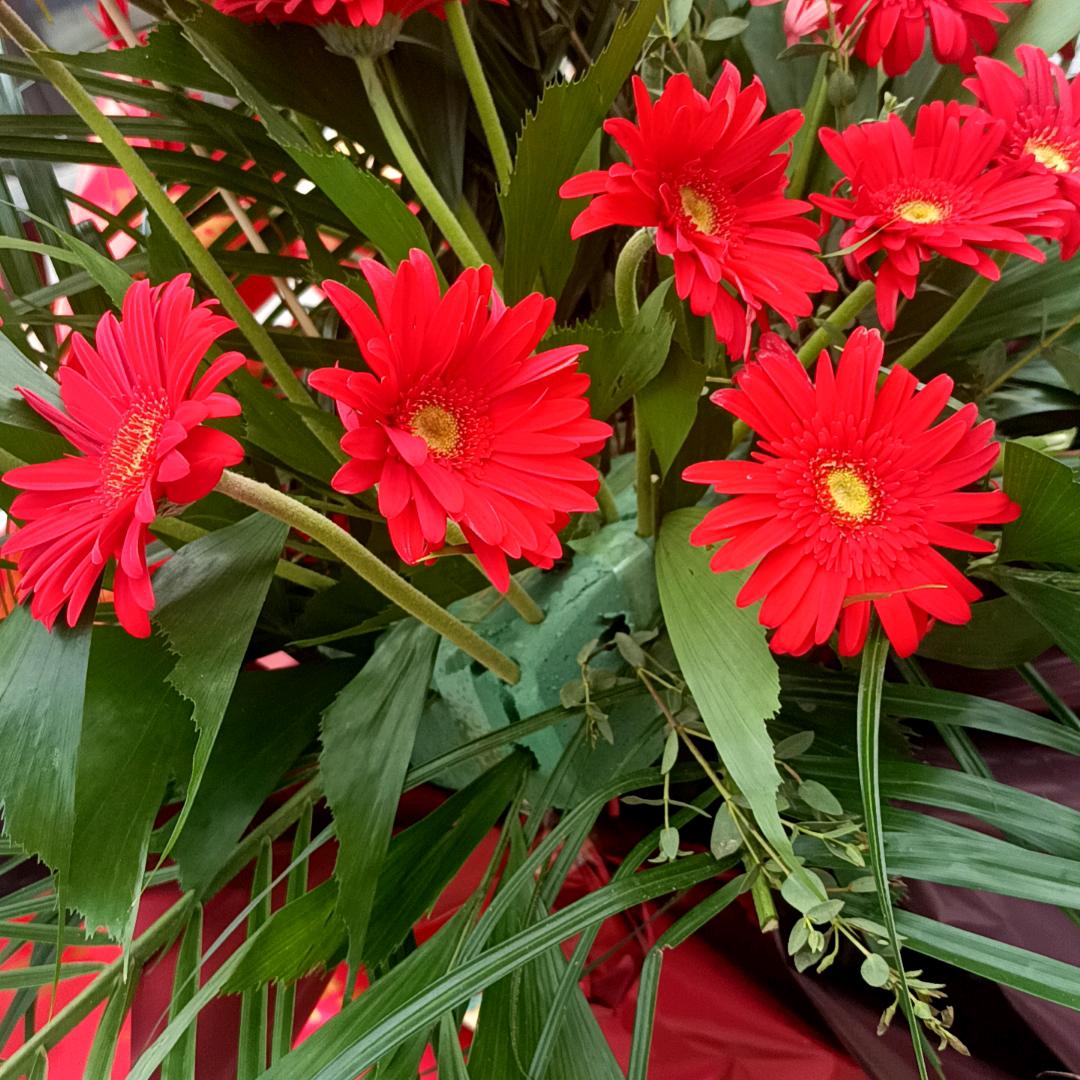 平安喜乐👱🏻‍♀️