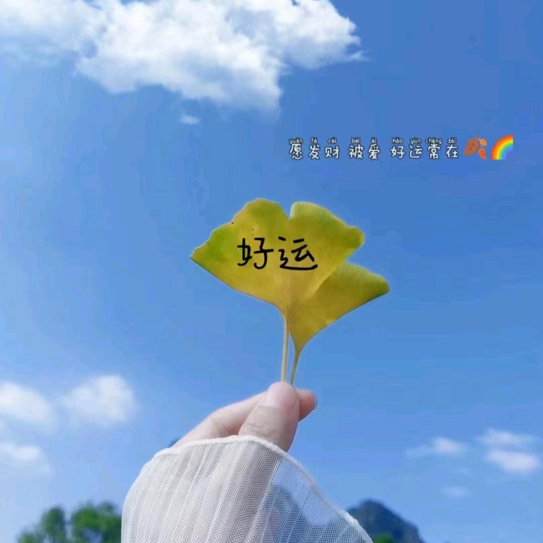 王发发