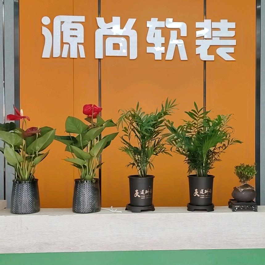 闫飞
