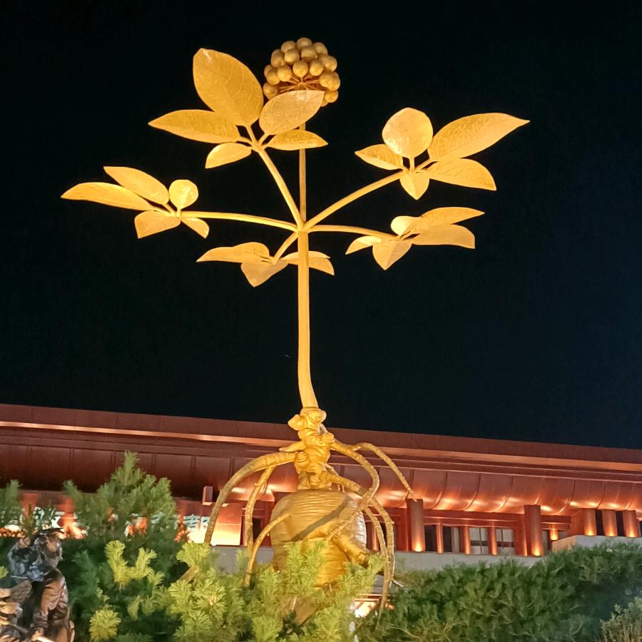 祁州中药材