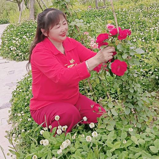 芹三姐