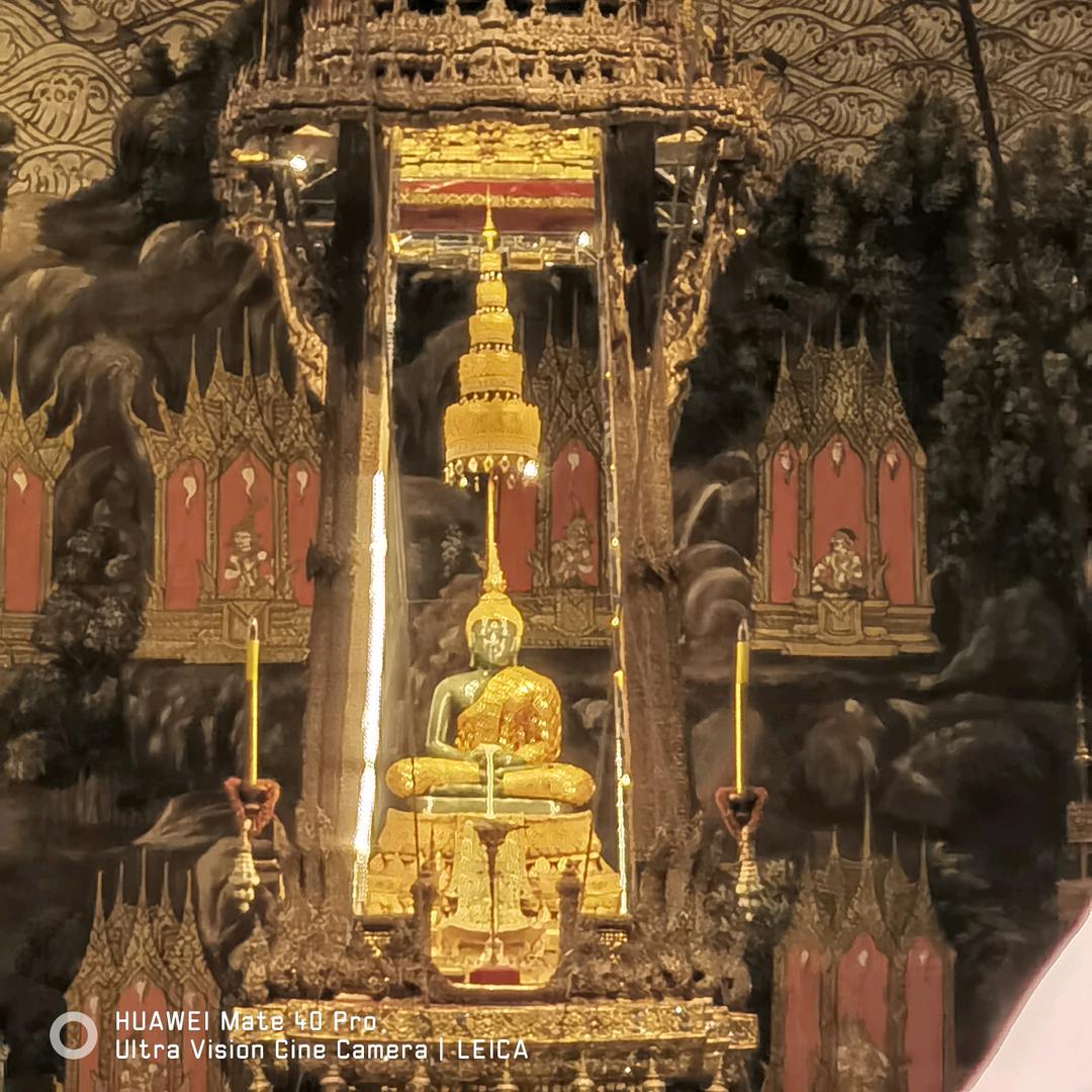 义乌霸王龙