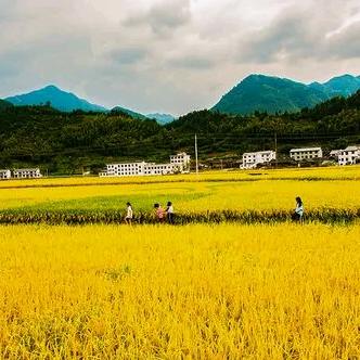 这一生风雨兼程