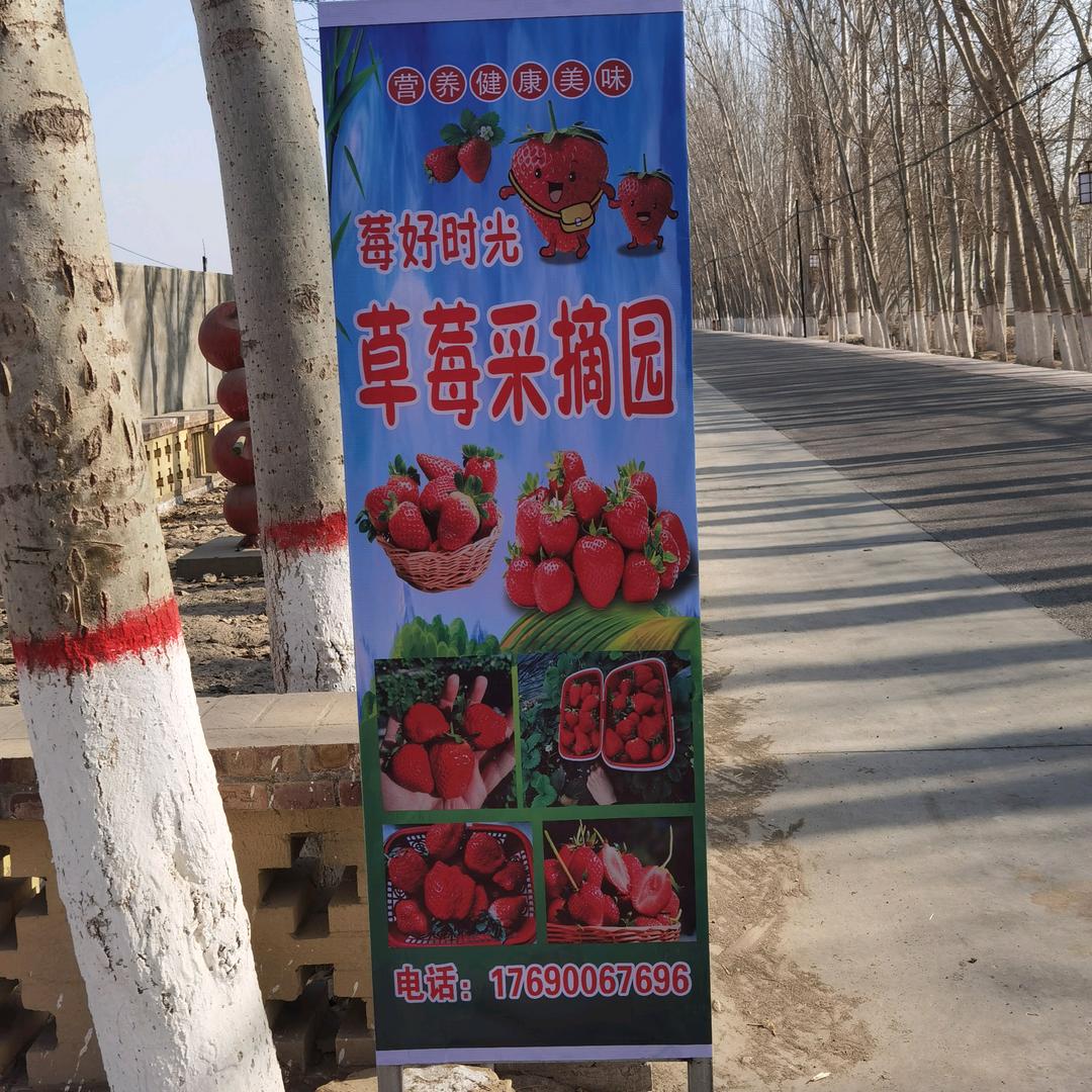 疆果莓味的小店