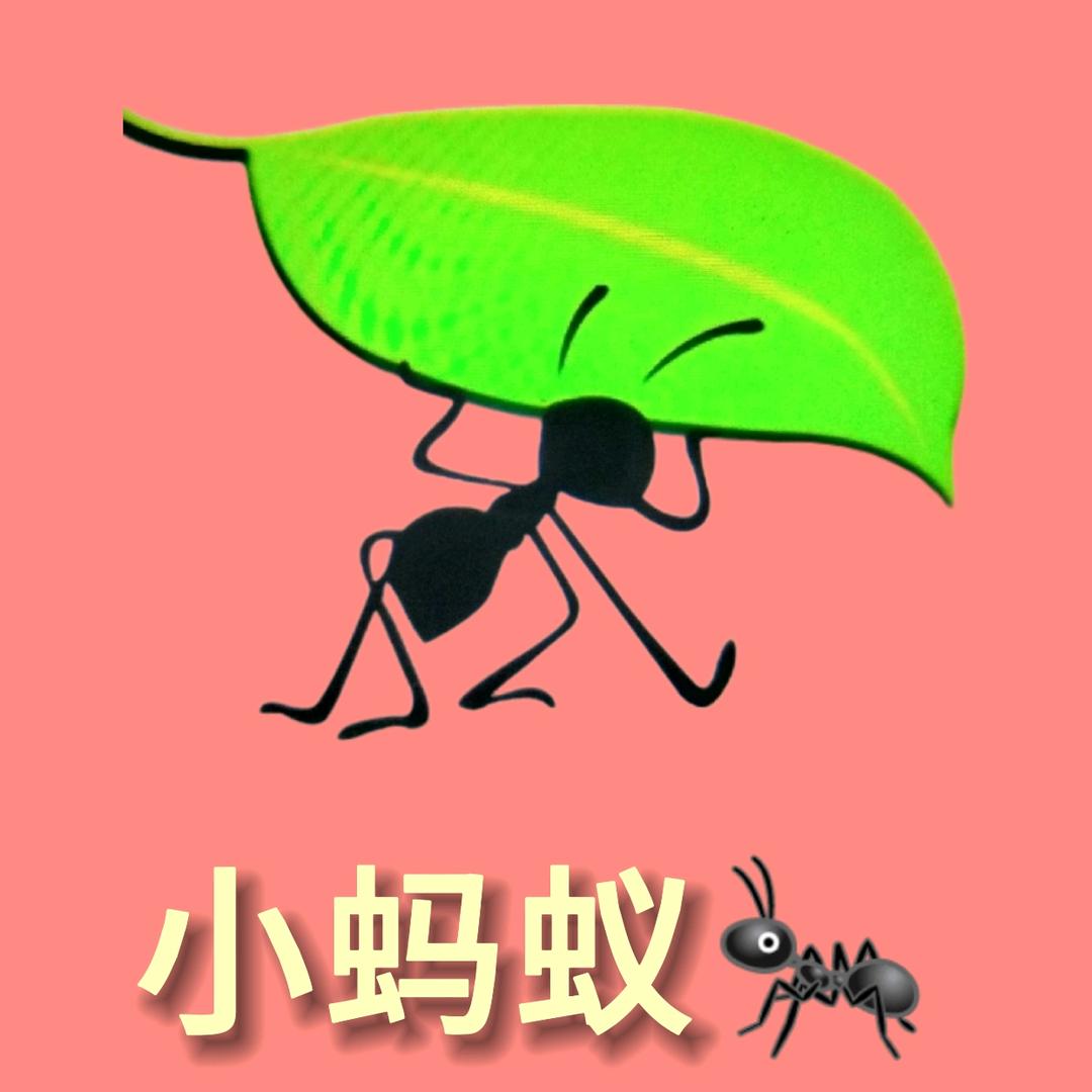 汾阳🖐🏻五米理发