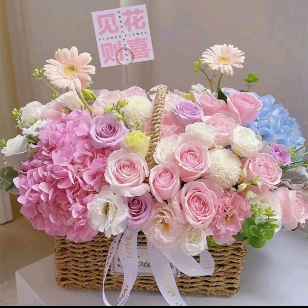 玫瑰小姐姐