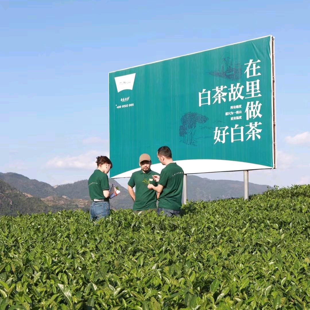 溢鼎昌茶业有限公司-九斗山茶业有限公司