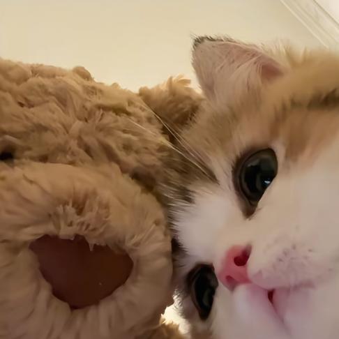 🧊