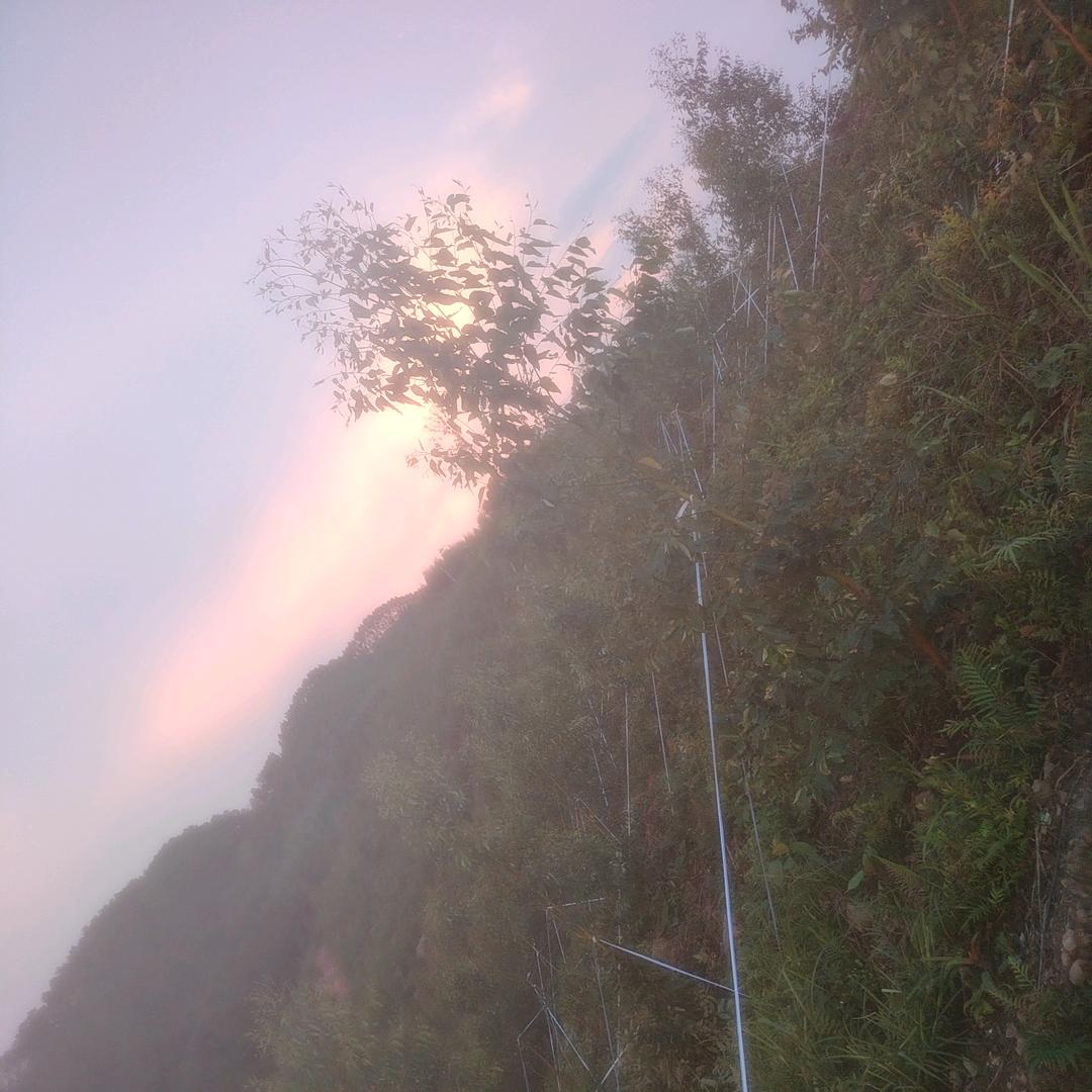 向 前 走🐒