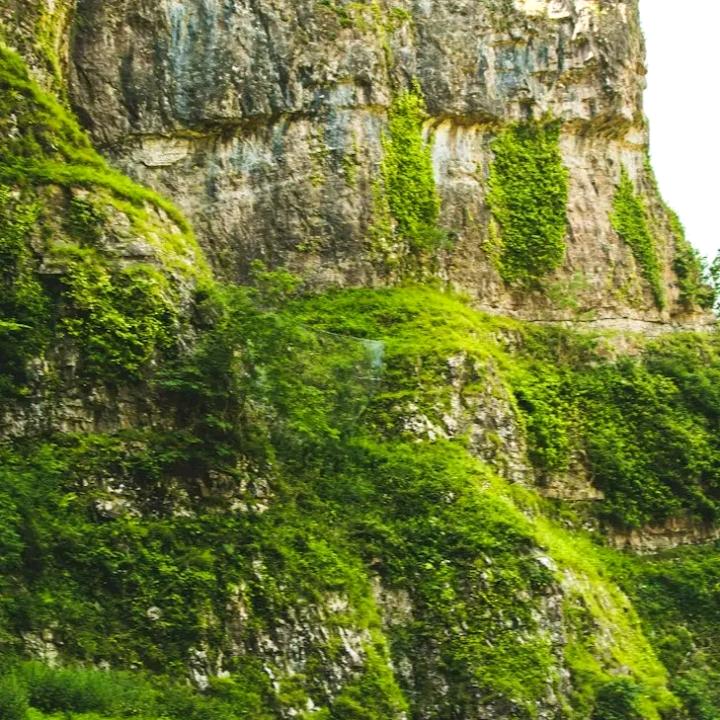 🥀এ᭄ 他妈说名字太长会有傻🥀এ᭄