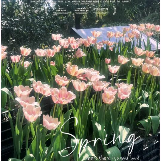 星缘小屋（视频同款找橱窗）