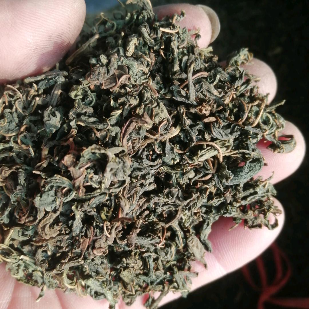 健康快乐李殿生