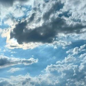 念初、采菊东篱