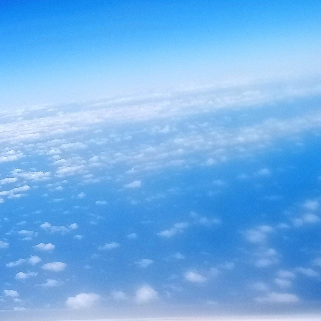 宝鸡葡萄代办老仝