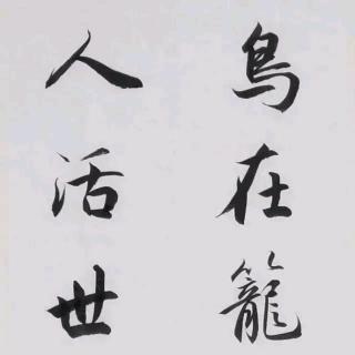 汪宇