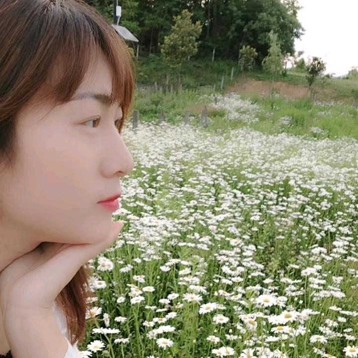 小贾不假