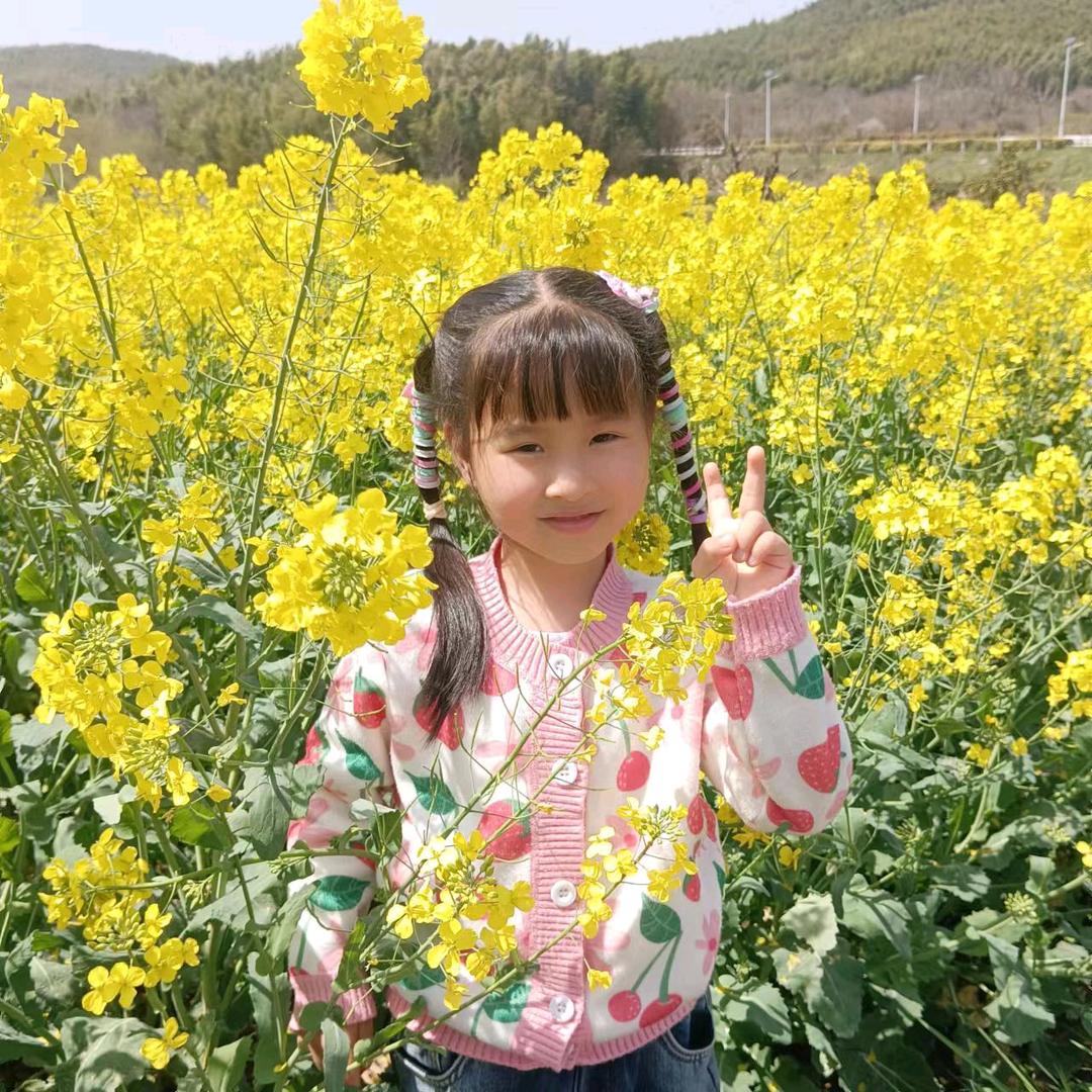 王菊