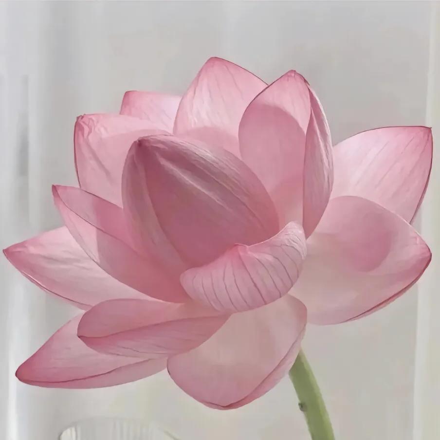 吉祥如意