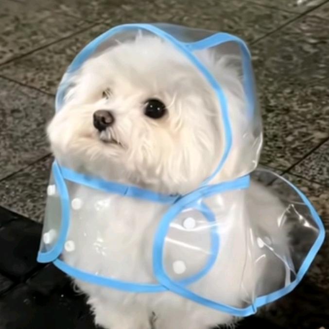 哦No