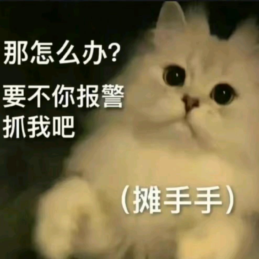 已经是个大人了