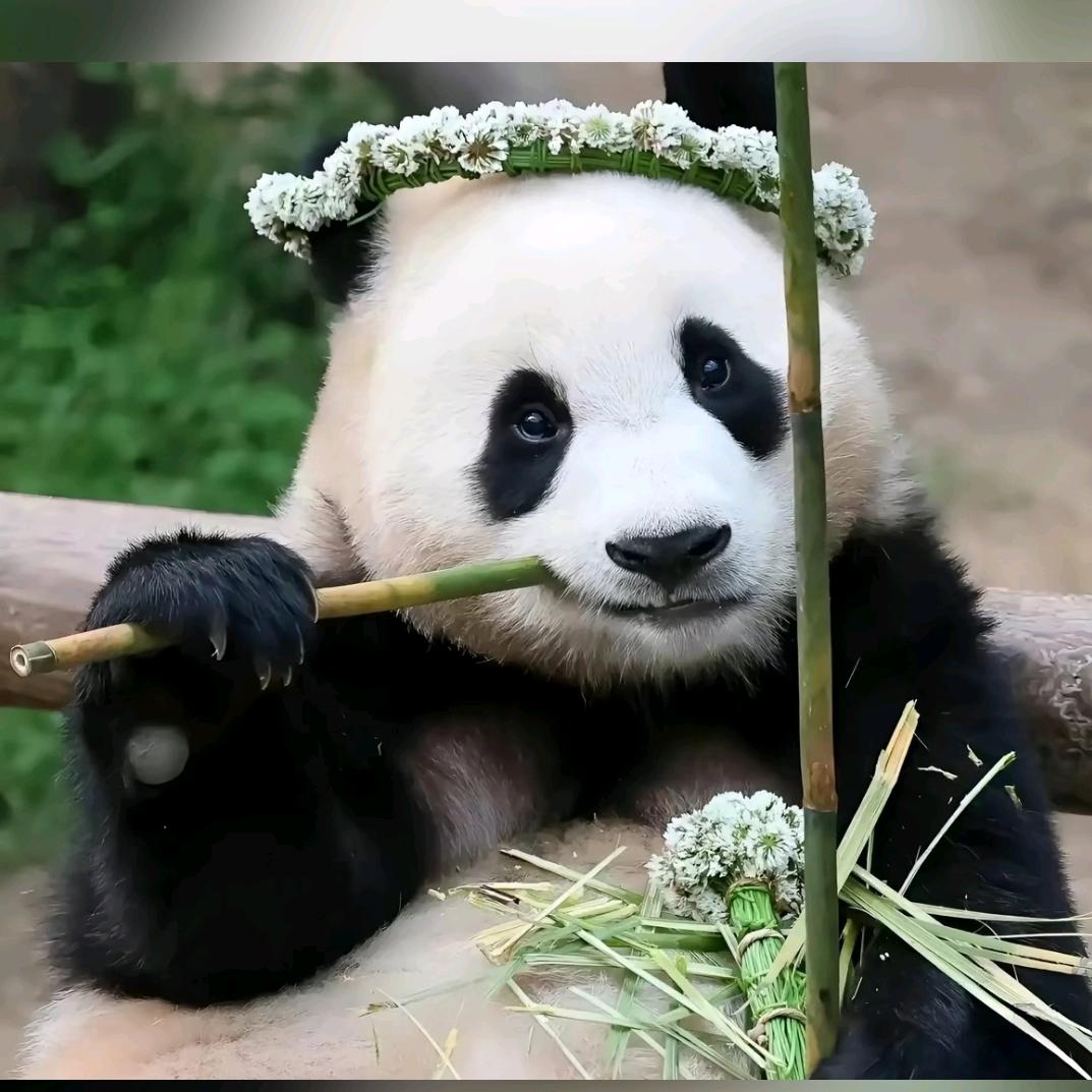 余生好好善待自己