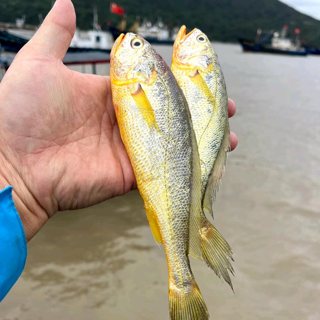 忠辉生鲜