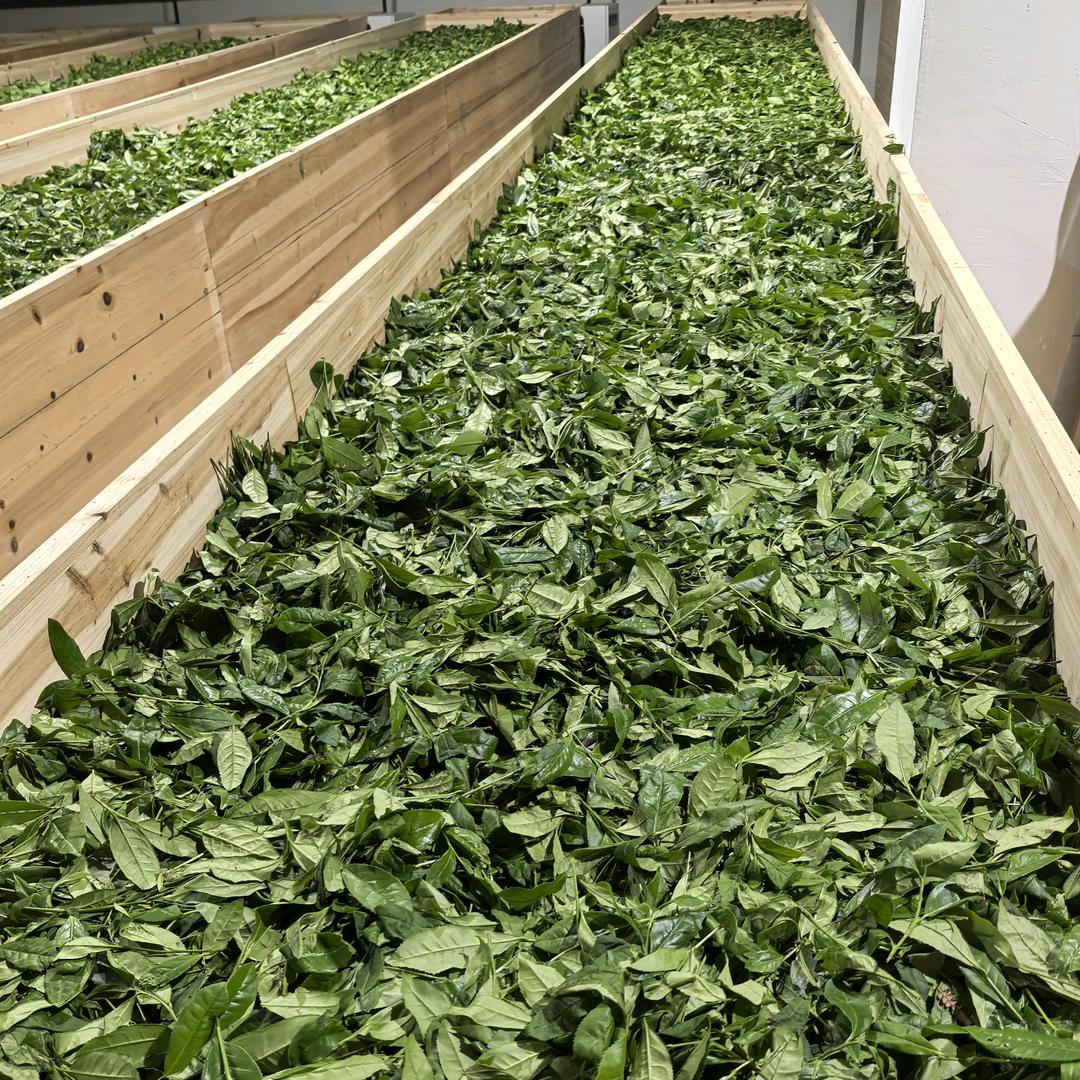 大宋私房茶