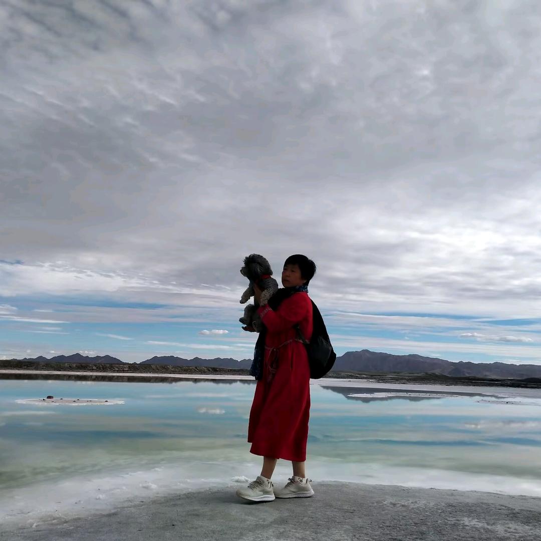 老高带果果去玩