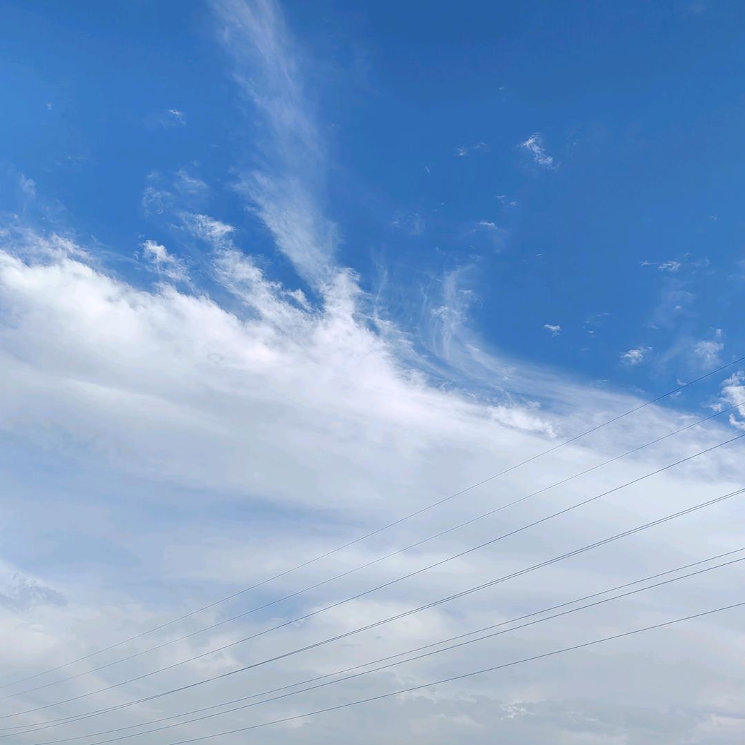 歌歌哒