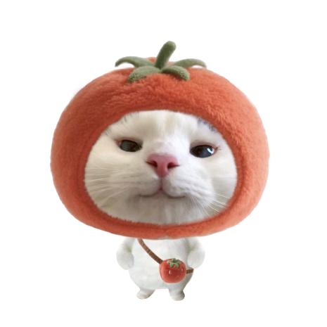 辣条董事长