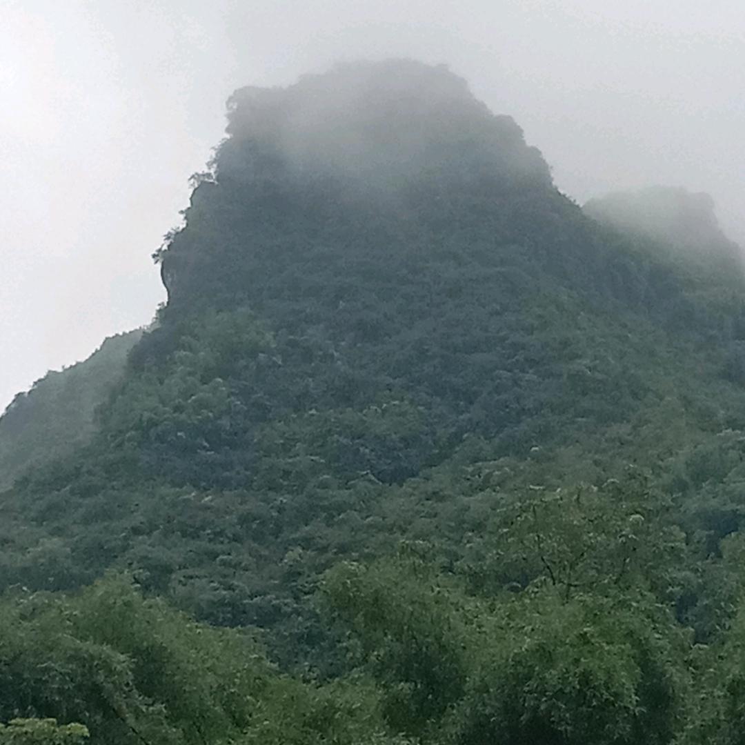 独号的夜♬