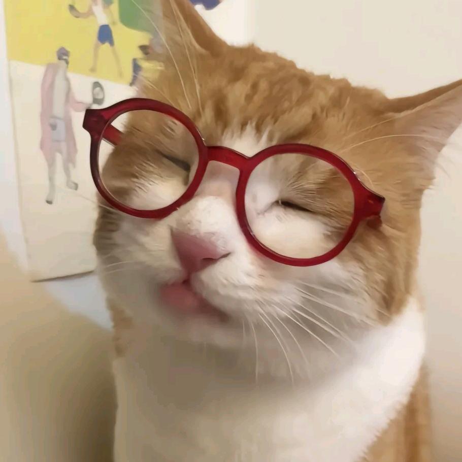 米米⊙⊙